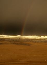 Summer storm, Portstewart strand, N. Ireland.
F90X, 28-1... by Mark Thomas 